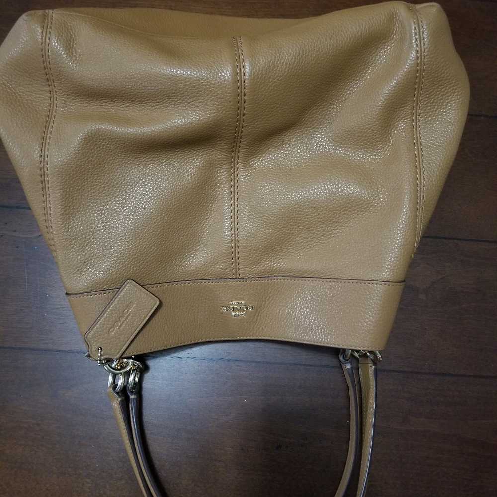Hallie Coach purse